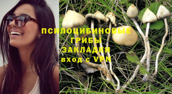 PSILOCYBIN Алзамай