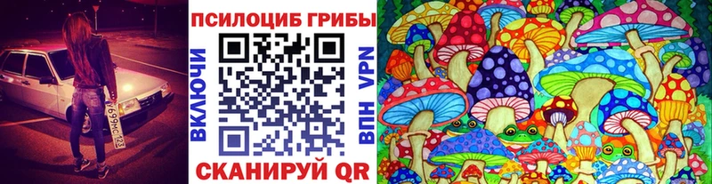 Псилоцибиновые грибы ЛСД  Петровск-Забайкальский 